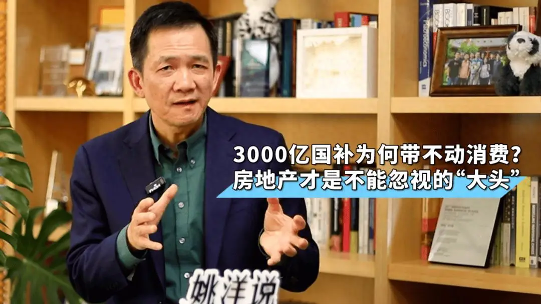 姚洋：国补为什么没能真正带动消费？