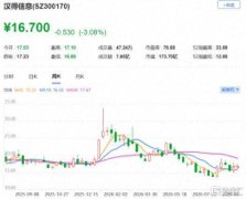 汉得信息赴港IPO，专注企业IT咨询与数字解决方案